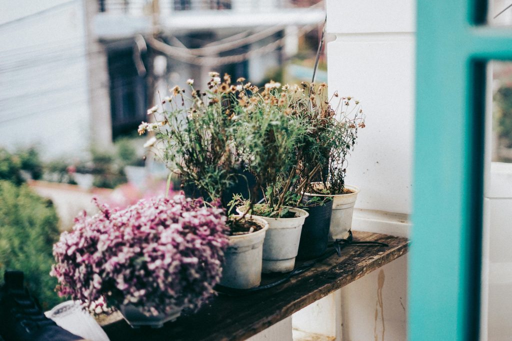 Fleurs sur balcon